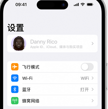 新丰appleID维修服务iPhone设置中Apple ID显示为灰色无法使用 