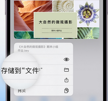 新丰apple维修中心分享iPhone文件应用中存储和找到下载文件