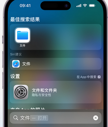 新丰apple维修中心分享iPhone文件应用中存储和找到下载文件 