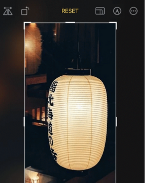 新丰苹果手机维修店分享iOS17中一键式裁剪功能使用方法