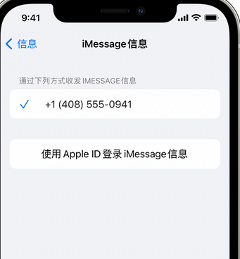 新丰apple维修iPhone上无法正常发送iMessage信息 