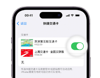 新丰apple维修点分享iPhone上更换Apple Pay快捷交通卡手绘卡面 