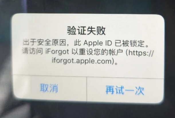 新丰iPhone维修分享iPhone上正常登录或使用AppleID怎么办 