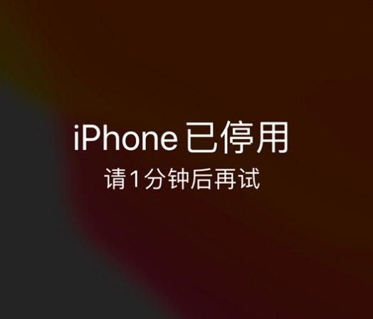 新丰苹果手机维修分享:iPhone 显示“不可用”或“已停用”怎么办？还能保留数据吗？ 