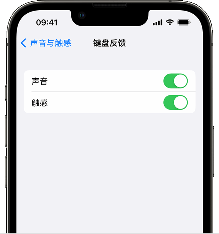 新丰苹果14维修店分享如何在 iPhone 14 机型中使用触感键盘 