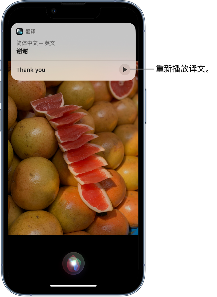 新丰苹果14维修分享 iPhone 14 机型中使用 Siri：了解 Siri 能帮你做什么 