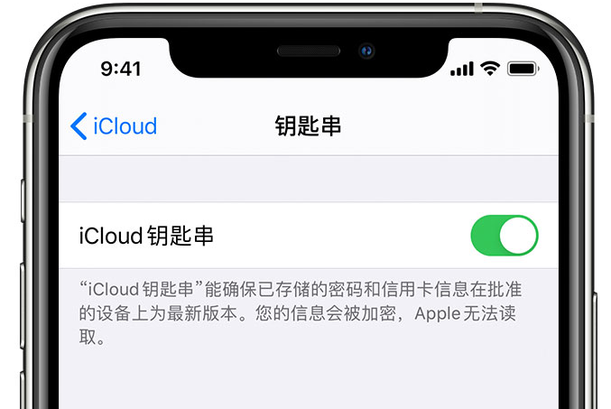 新丰苹果手机维修分享在 iPhone 上开启 iCloud 钥匙串之后会储存哪些信息 