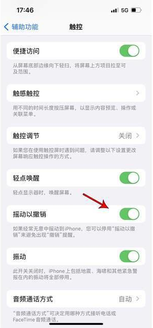 新丰苹果手机维修分享iPhone手机如何设置摇一摇删除文字 