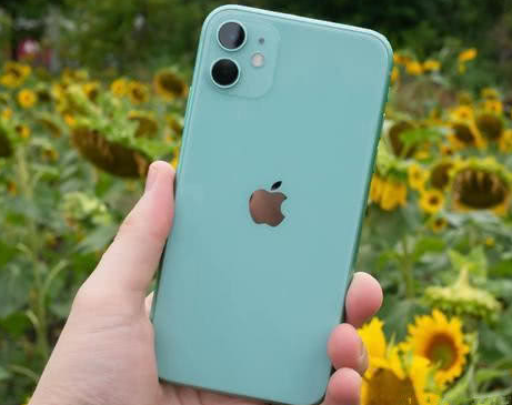 新丰苹果维修点分享iPhone 11锁屏密码认知与使用科普 