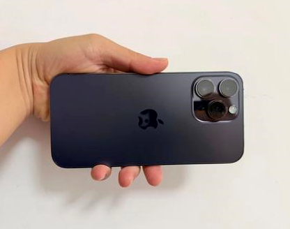新丰苹果维修点分享iPhone 14 Pro Max发烫多重诱因剖析 